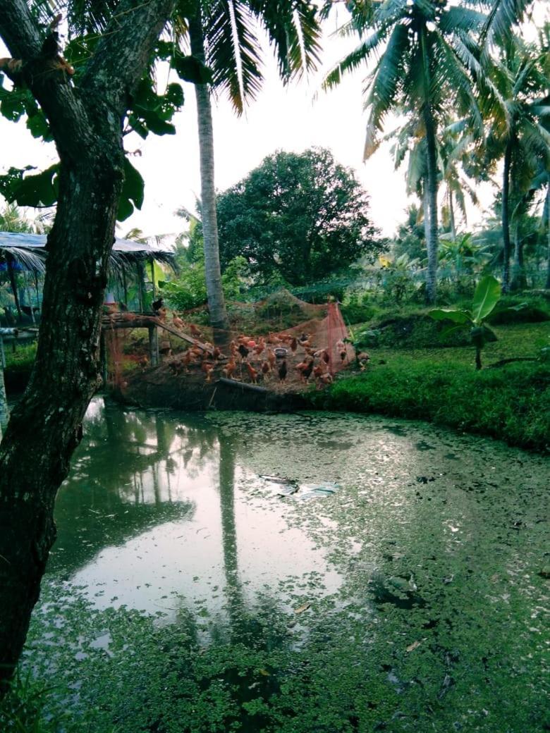 Thomman'S Farm Stay Kottayam Exterior foto